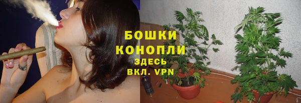 ALPHA PVP Весьегонск