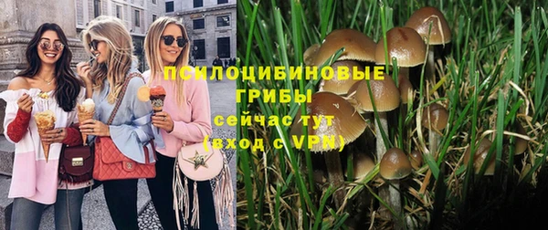 гидра Дмитриев