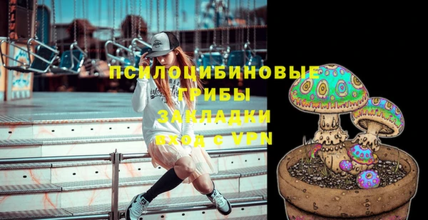 дживик Навашино