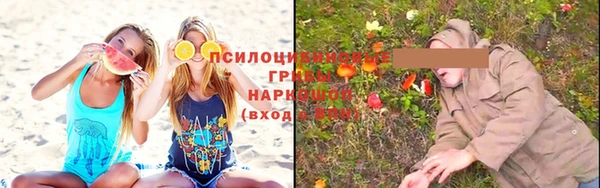 мяу мяу мука Ростов