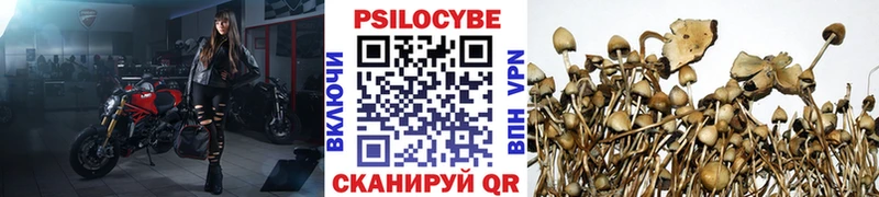 купить наркотик  Пыталово  Галлюциногенные грибы мицелий 